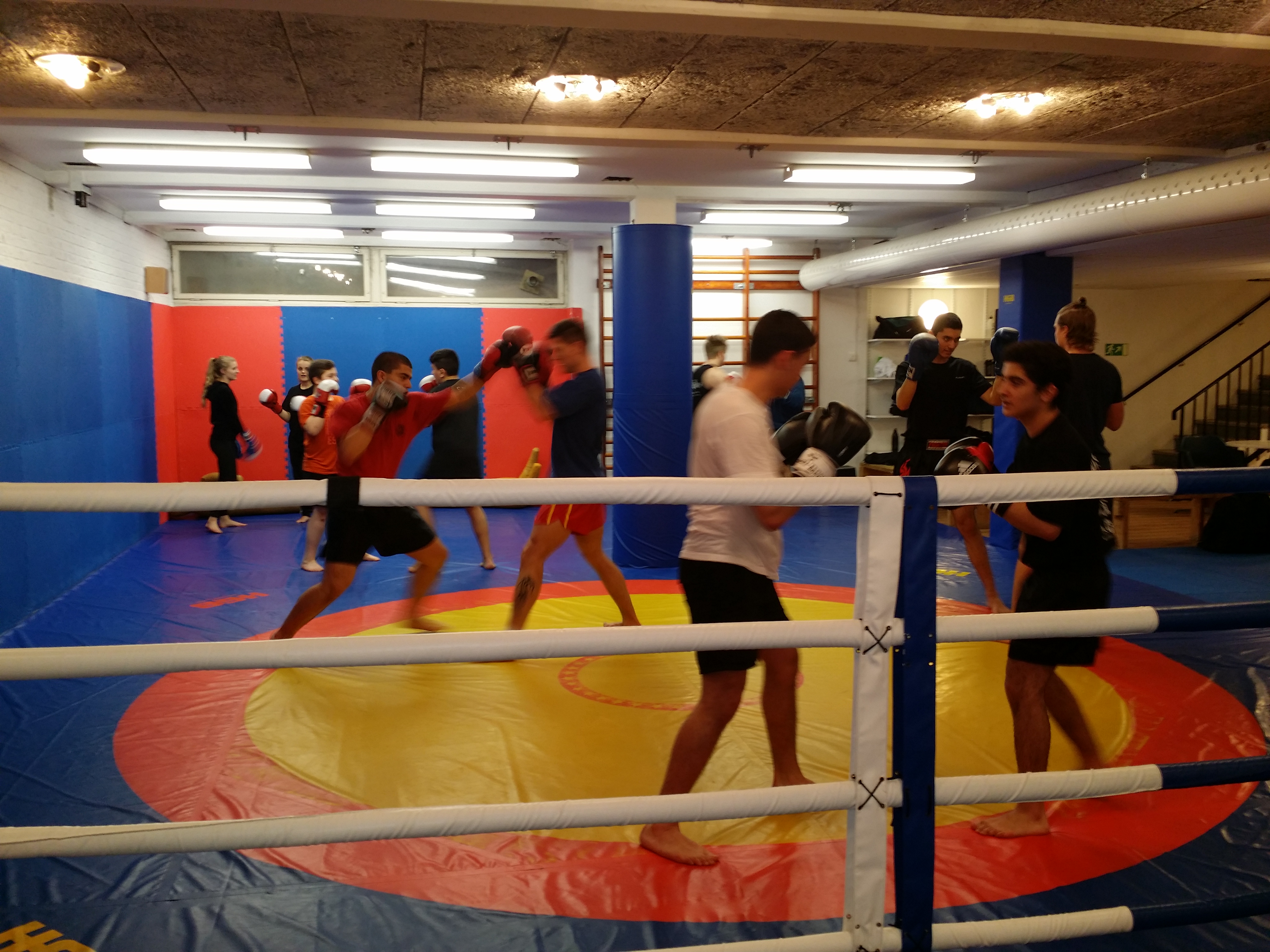 Aktuell händelse eller tävling från Westeras Tai-Nui Club i Västerås - Wushu Sanda, MMA eller Submission Wrestling